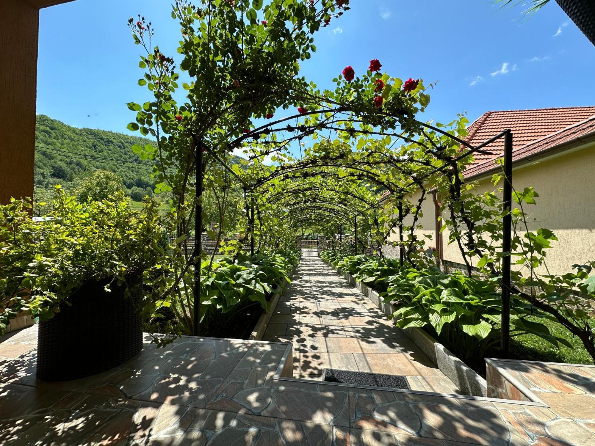 Casa Antonia Hotell Chiscau Exteriör bild